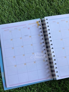 Planner Ursinhos Carinhosos 2025 - Coleção Nostalgia Papelaria Ananda na internet