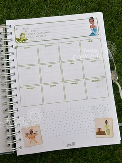 Caderno Tiana - A Princesa e o Sapo - Papelaria Ananda na internet