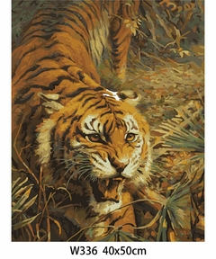 Pintando por números 40x50cm