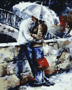 Pintando por números 40x50cm