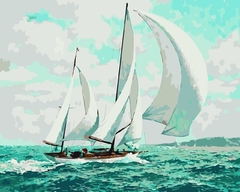 Pintando por números 40x50cm