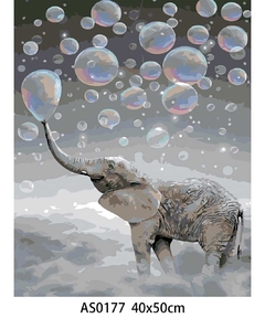 Pintando por números 40x50cm
