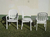 Combo 4 Sillas Caribe Mascardi 1 Mesa Redonda de 7 Patas Color Blanco - Reventon Store
