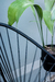 Combo 2 Sillas Acapulco PVC Mediana 1 Mesita Acapulco Color Negro - Reventon Store