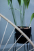 Combo 4 Sillas Acapulco PVC Mediana 1 Mesita Acapulco Color Yute