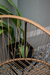 Imagen de Sillon Gervasoni Color Yute