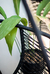 Hamaca Tailandia Negra (Sin Base) - tienda online