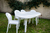 Combo 5 Sillas Barcelona De Plastico Mascardi Color Blanco - Reventon Store