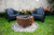 Combo 2 Sillones Skarpo Negros Mascardi