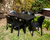 Silla Barcelona De Plastico Mascardi Color Negro - Reventon Store