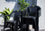 Combo 4 Sillas Ancona Mascardi 1 Mesa Cuadrada 75x75 Color Negro - comprar online