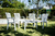 Silla Kansas De Plastico Mascardi Color Blanco