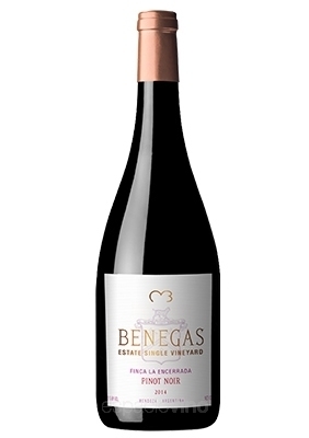 BENEGAS SINGLE VINEYARD PINOT NOIR caja X 6