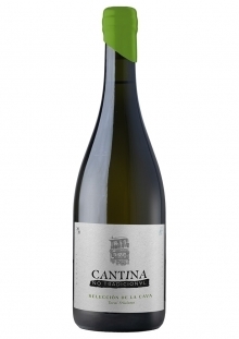 Cantina no tradicional Tocai caja x6