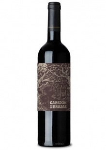 Cielo y Tierra Callejon de Brujas Cab Franc