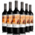 CLAROSCURO GRAN MALBEC CAJA X 6
