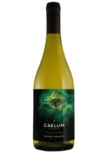 CAELUM GRAN RESERVA Fiano caja x6
