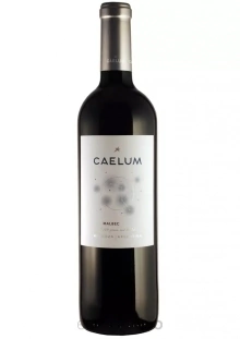 CAELUM JOVEN Malbec caja x6