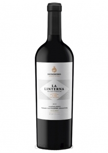 LA LINTERNA CHAÑAR PUNCO Los Chañares parcela 73 Malbec