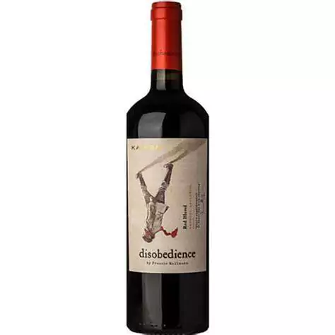KAIKEN DISOBEDIENCE Red Blend by Francis Mallmann caja x6