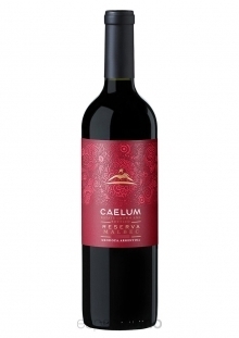 CAELUM RESERVA Malbec caja x6