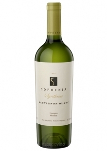SYNTHESIS Sauvignon Blanc caja x6
