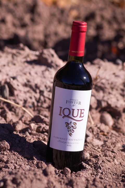 Foster Ique Cabernet Sauvignon caja x6