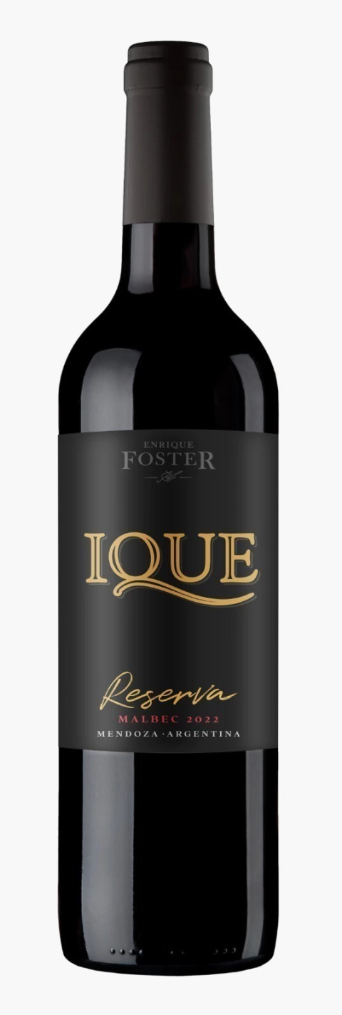 Ique Reserva Malbec - Caja x6