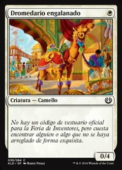 KLD - 030 - Dromedario engalanado / Tasseled Dromedary