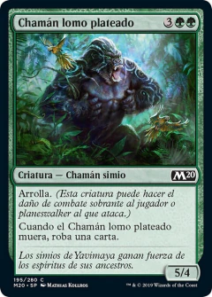 M20 - 195 - Chamán lomo plateado // Silverback Shaman