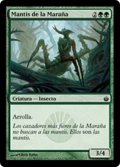 MBS - 091 - Mantis de la Maraña / Tangle Mantis