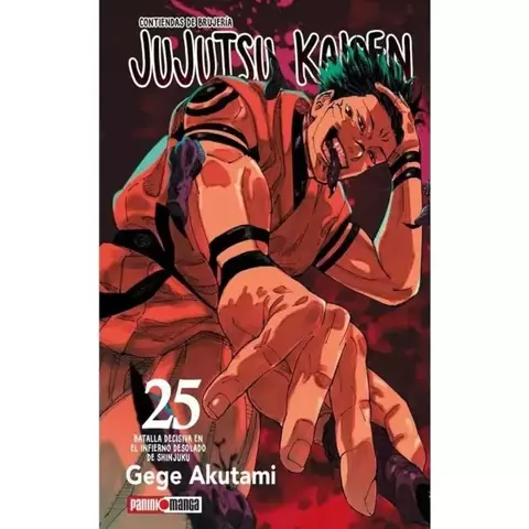 JUJUTSU KAISEN 25