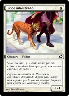 RTR - 027 - Lince adiestrado / Trained Caracal