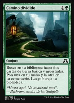 SOI - 205 - Camino dividido / Fork in the Road