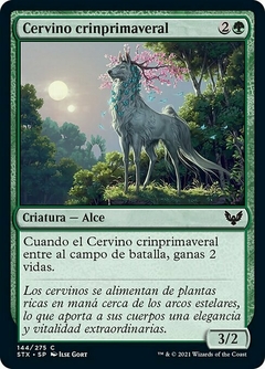 STX - 144 - Cervino crinprimaveral / Springmane Cervin