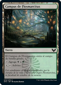 STX - 275 - Campus de Flosmarcitus / Witherbloom Campus