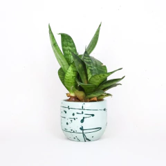 Vaso Neblina II - P - Simona Art