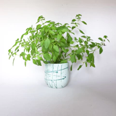 Vaso Neblina II Verde Claro na internet