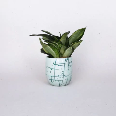 Mini Vaso Neblina II Verde Claro - Simona Art