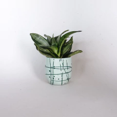 Mini Vaso Neblina II