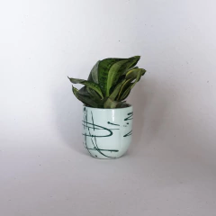 Mini Vaso Neblina II - loja online