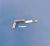 209248-0-00 Looper Rimoldi Orion 627 Superior na internet