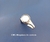 356047 Guia Fio da Tampa Superior Singer - comprar online
