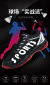 Zapatillas Sports Tenis Padel Voley Squash Badminton - comprar online