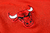 Conjunto Agasalho Nike NBA Chicago Bulls Calça e Jaqueta com Capuz e Zíper - Sportsneakers