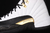 Imagem do Tênis Air Jordan 12 "Royalty"