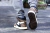 Tênis Air Jordan 1 Retro High OG x Travis Scott ‘Mocha’ na internet
