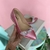 Sapatilha Metalizada Pink Laço Cristais Bico Fino MeninaRio