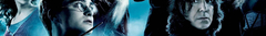 Banner de la categoría Harry Potter
