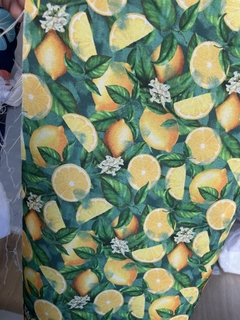 MECÁNICA LIMONES x50CM - comprar online